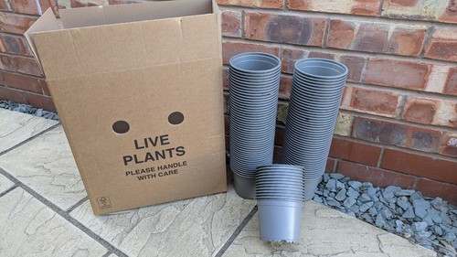 Plant pots 100 - plant, used