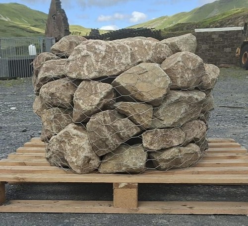Celtic glacial rockery garden - glacial,