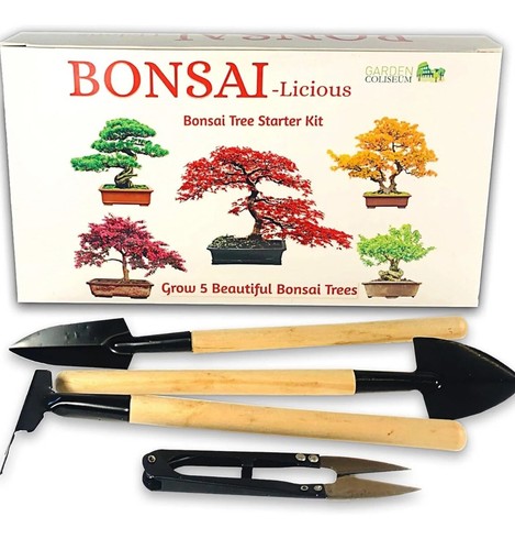 Bonsai tree kit - kit,