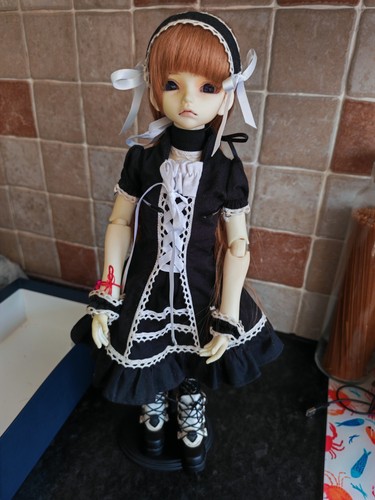 Doll mind custom - in, joint