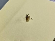 888611 CHRONO CENTER WHEEL