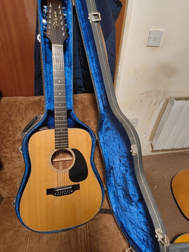 Takamine electro acoustic - electro,