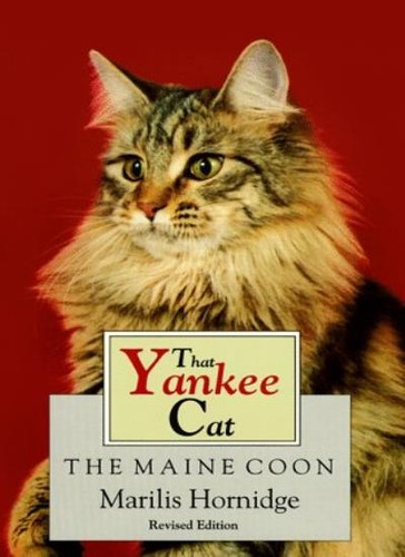 That yankee cat the - that, cat: