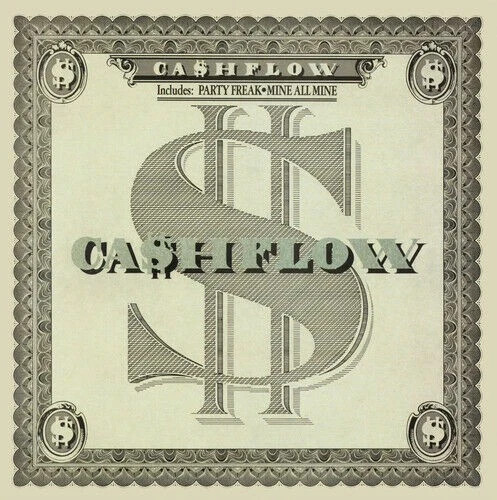 Cashflow - cashflow:,