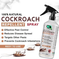 100% Natural Cockroach