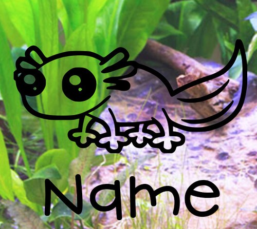 Axolotl customised vivarium - axolotl,