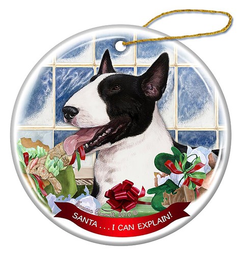 Bull terrier black white dog - terrier, black/white