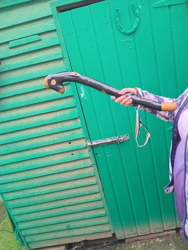 Irish blackthorn shillelagh - irish,