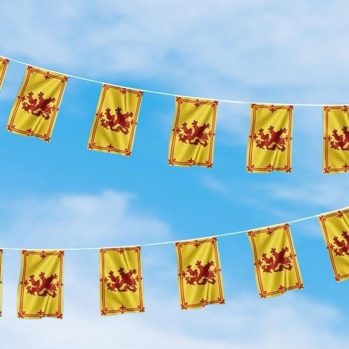 Scottish rampant lion - lion, bunting