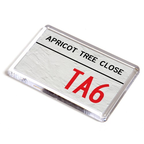 Fridge magnet apricot - fridge, tree