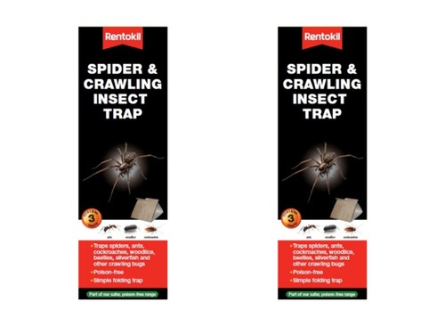Rentokil spider crawling - 6,