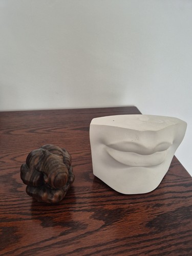 Artist plaster cast mouth - plaster,