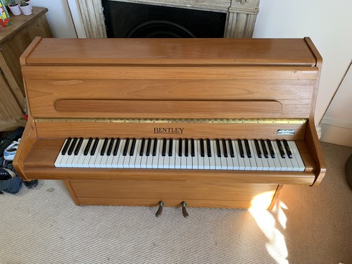 Bentley upright acoustic - bentley,