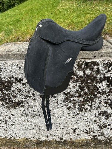 Black collegiate dressage - black,