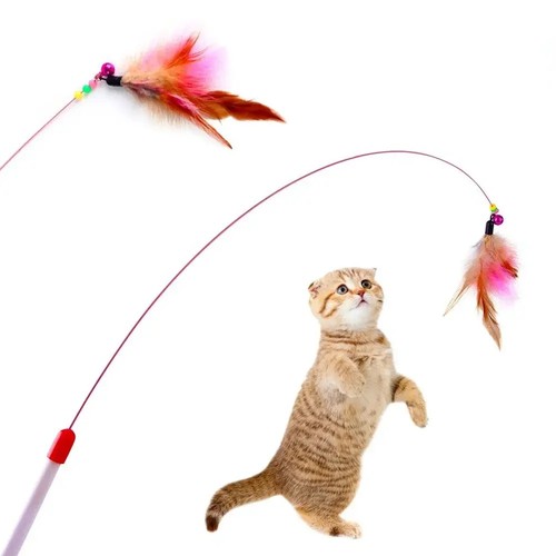 Cat kitten toy - toy, wand