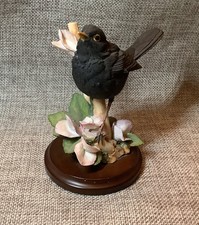 Country Artists Blackbird With