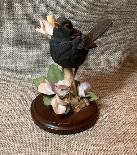 Country artists blackbird - artists,