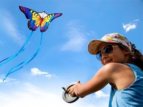 Butterfly kite 28 large - 55", 28"