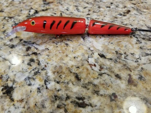 Custom painted rapala jointed - painted,