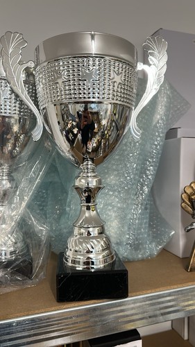 Silver trophy cup 32cm - silver,