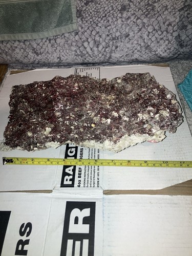 Pl4 real reef - real, rock