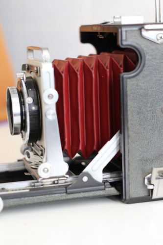 Graflex centry - centry, 23.