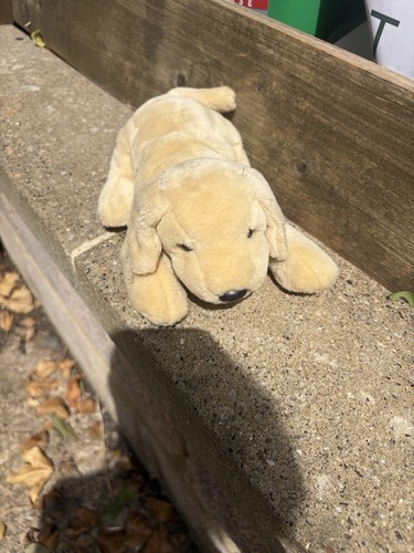Andrex puppy 30th - puppy,