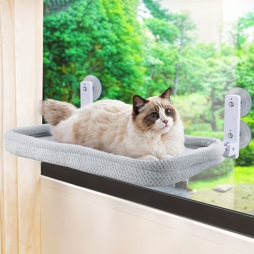 Large cats hanging - large,