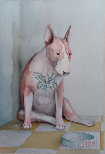 Bomber english bull terrier - bomber, by