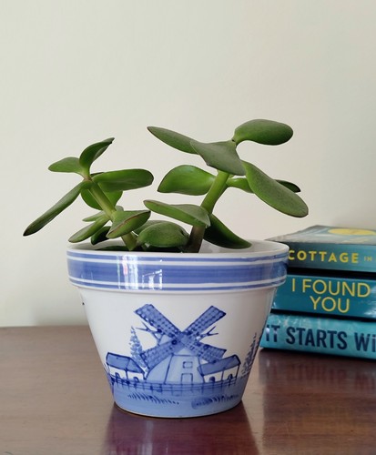 Vintage delft windmill plant - windmill,