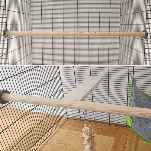 Little zoo venturer full width - zoo, full-width