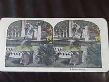 c. 1895 COLOUR 3d STEREOGRAPH/