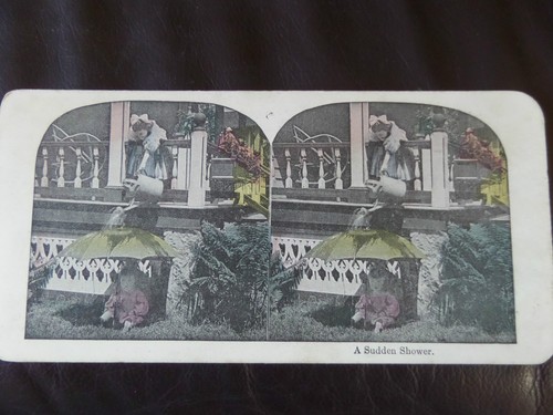 1895 colour stereograph - 1895, stereograph/