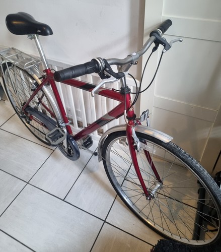 Raleigh pioneer - raleigh,