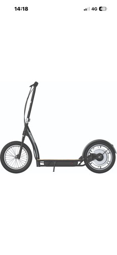 Razor ecosmart electric - ecosmart,