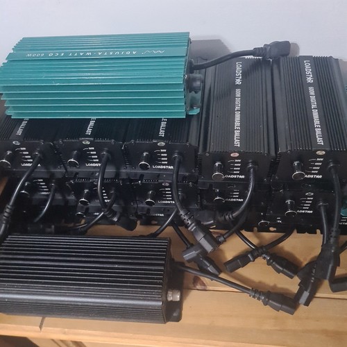 Loadstar everyday 600w - loadstar,