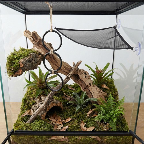 Reptile pet toy - pet,
