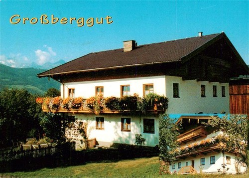 Gries pinzgau grossberggut - gries,