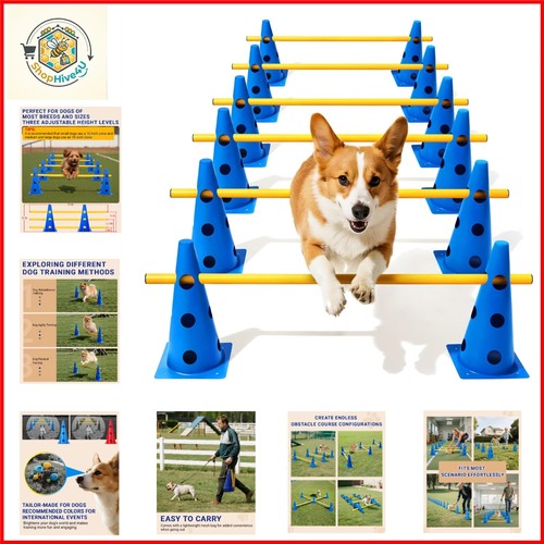 Dog agility course - dog, backyard