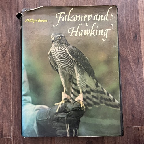 Falconry and hawking - falconry,