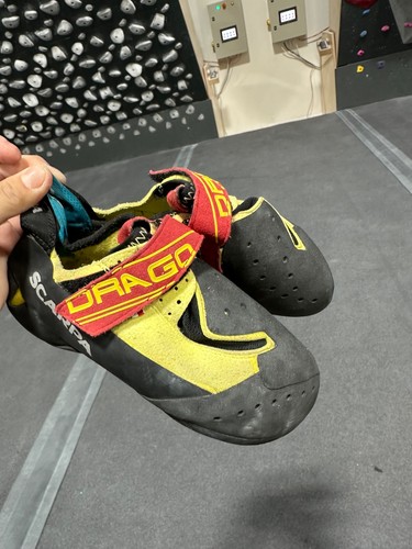 Scarpa drago 5 - scarpa, 37.5