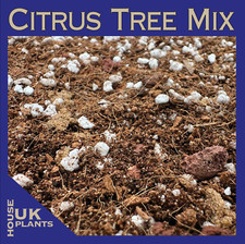 CITRUS TREE Potting Soil Mix Repotting Compost Orange Lemon Kumquat Satsuma Lime