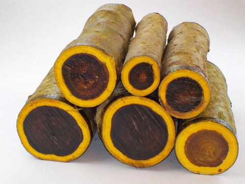 One green laburnum - green, woodturning
