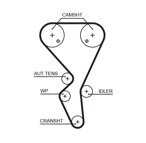 Fits gates 5581xs - fits,