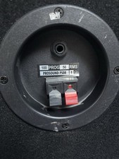 ProSound PS08 100W DJ Passive