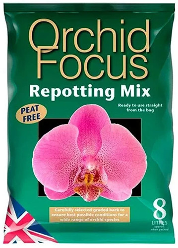 Orchid focus potting - orchid, re-potting