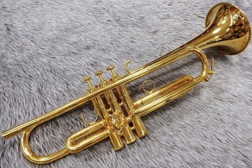 Schilke b5gp trumpet gold - bb,