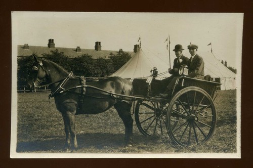 Broughton lancashire horse - lancashire, &