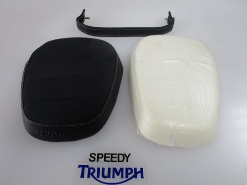 Triumph street scrambler rear - street,