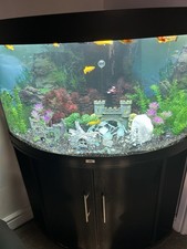 Jewel Trigon 190 Fish Tank